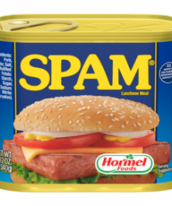 SPAM REGULAR 340G
