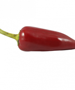 RED BELL PEPPER