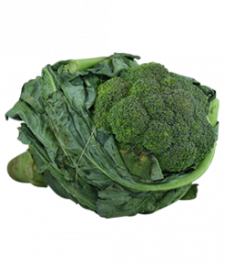 BROCCOLI