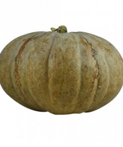KALABASA / SQUASH