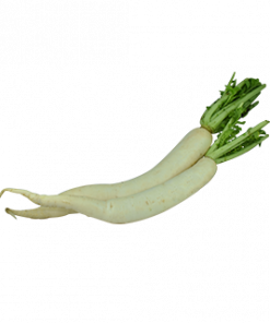 LABANOS / RADISH