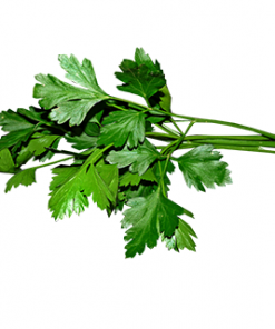 PARSLEY