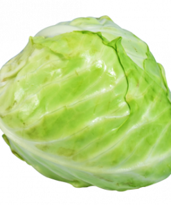 REPOLYO / CABBAGE