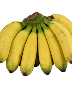 BANANA LACATAN