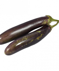 CHINESE EGGPLANT / TALONG HABA