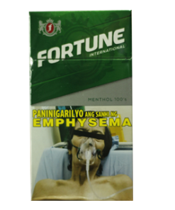 FORTUNE  GREEN LONG HARDPACK