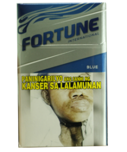 FORTUNE LIGHTS TRIBAL BLUE