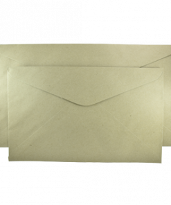 BROWN ENVELOPE - SHORT