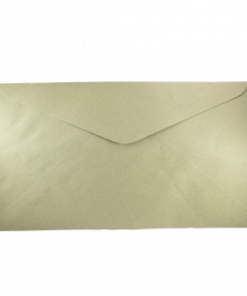 BROWN ENVELOPE LONG