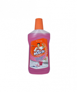 MR MUSCLE MULTI PURPOSE CLEANER FLORAL PERFECTION 500ML