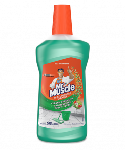 MR MUSCLE CLEANER MORNING FRESH 500ML