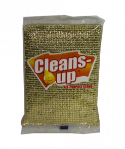 CLEANS UP SCRUB GOLD/SILVER