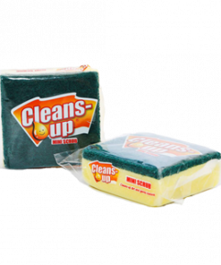 CLEANS UP DOUBLE  PURPOSE PAD SMALL