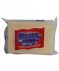CLEANS UP SPONGE BIG PEACH