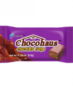 CHOCOHAUZ CHOCO FUDGE 5.5GX24SX20