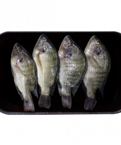 TILAPIA BATANGAS  MEDIUM