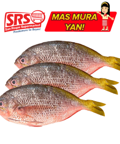 DALAGANG BUKID BILOG