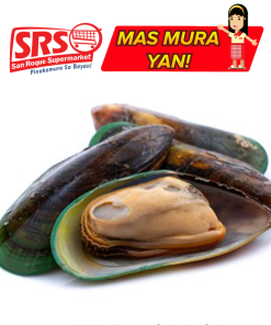 MUSSEL