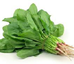 SPINACH