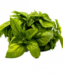 BASIL