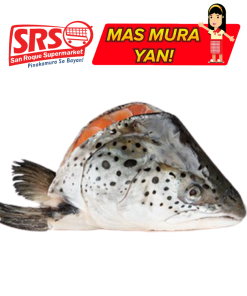 SALMON HEAD