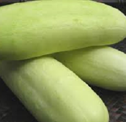 PIPINO PUTI