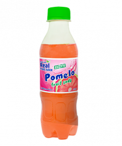 ZESTO FRUIT SODA 220ML