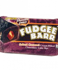 FUDGEE BAR SALTED CARAMEL 10S