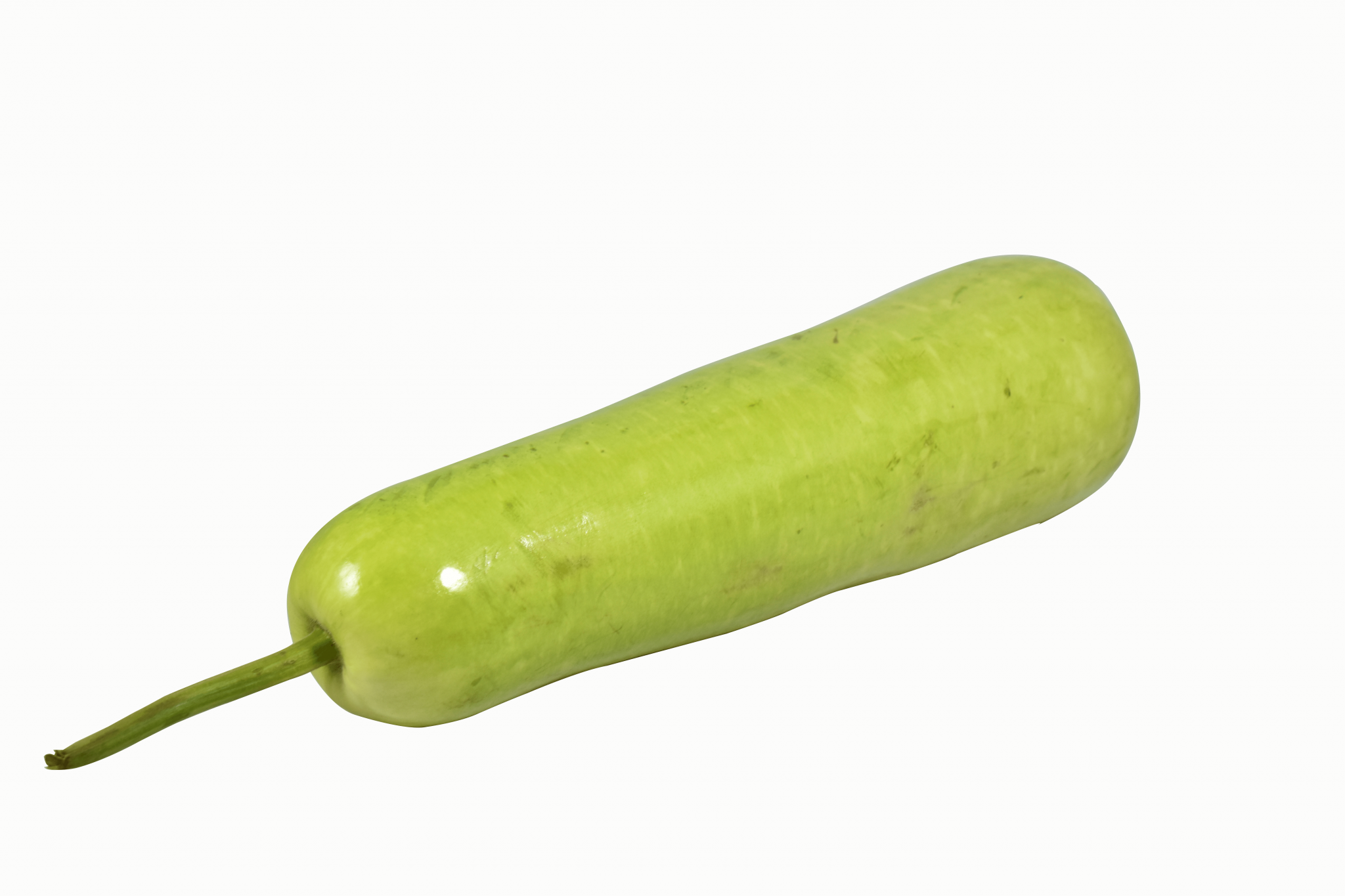 UPO / BOTTLE GOURD SRS Sulit