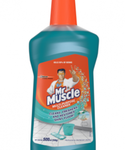 MR MUSCLE ALL PURPOSE CLEANER OCEAN 500ML