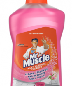 MR MUSCLE CLEANER FLORAL 500ML