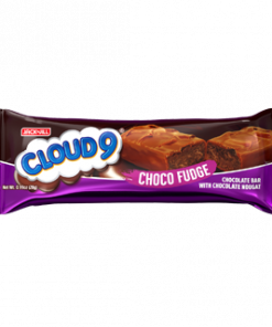 CLOUD 9 CHOCO FUDGE BAR 28GX12'S