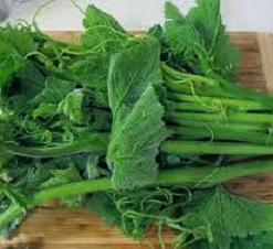 TALBOS SAYOTE / CHAYOTE TOPS