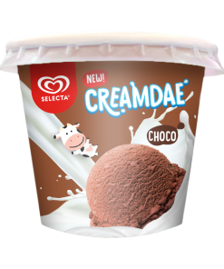 SELECTA CREAMDAE CUPS CHOCO 100ML