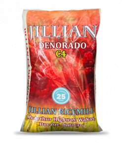 JILLIAN DINORADO C4 25KG