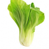 BOKCHOI