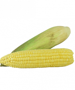 SWEET CORN / MAIS NA DILAW KG