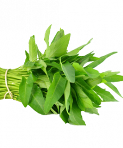 KANGKONG