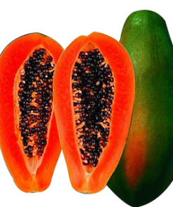 REDLADY PAPAYA