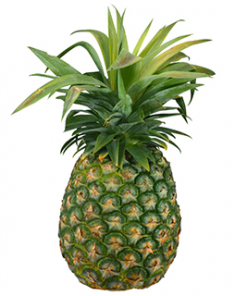 PINEAPPLE