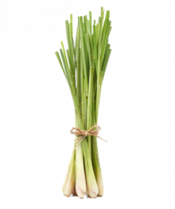 TANGLAD / LEMON GRASS