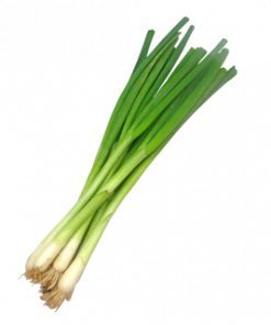 SPRING ONION