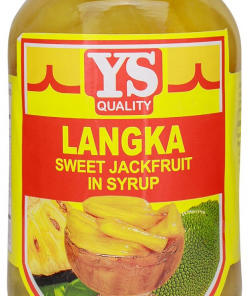YS LANGKA 340GX24
