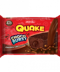 QUAKE BARS CHOCO 38GX10S
