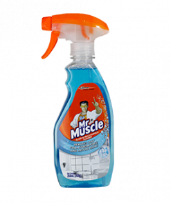 MR. MUSCLE GLASS CLEANER PRIMARY 250ML