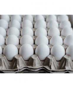 FRESH EGG LARGE 30S
