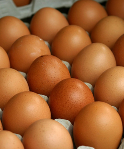 NATIVE FREE RANGE BROWN EGGS LARGE